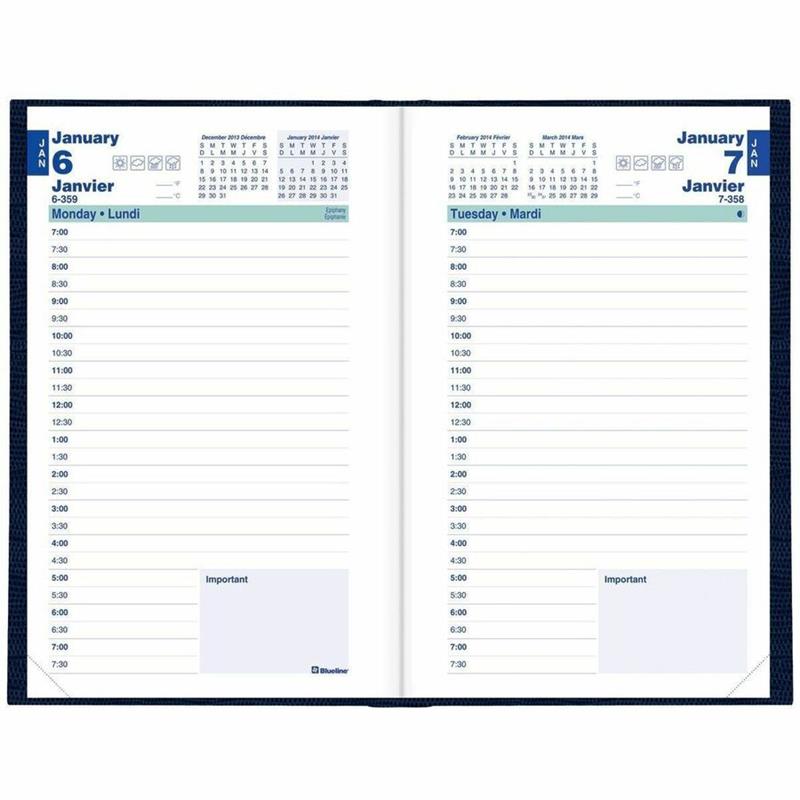 Image Daily Diary (2026)