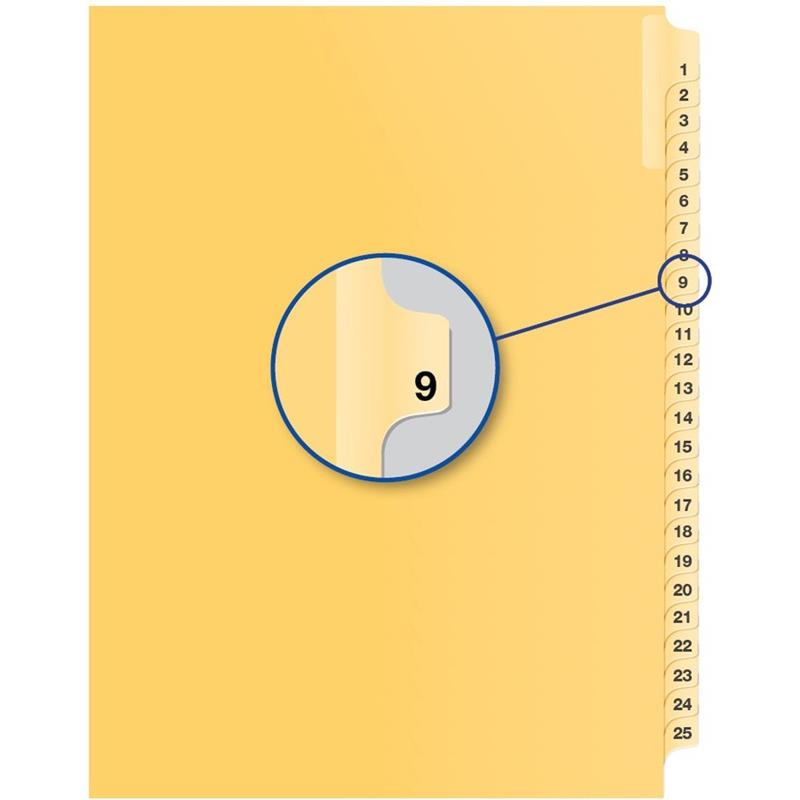 Image Individual Numerical Litigation Index Dividers