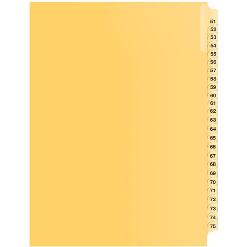 Image Litigation Index Dividers